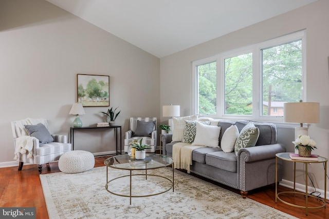 808 Gregorio Dr, Silver Spring, MD 20901 - living room featuring wood finished floors, lofted ceiling, and baseboards