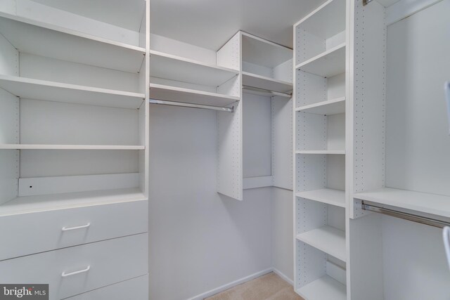 10300 Bushman Dr Unit 209, Oakton, VA 22124 - walk in closet featuring carpet