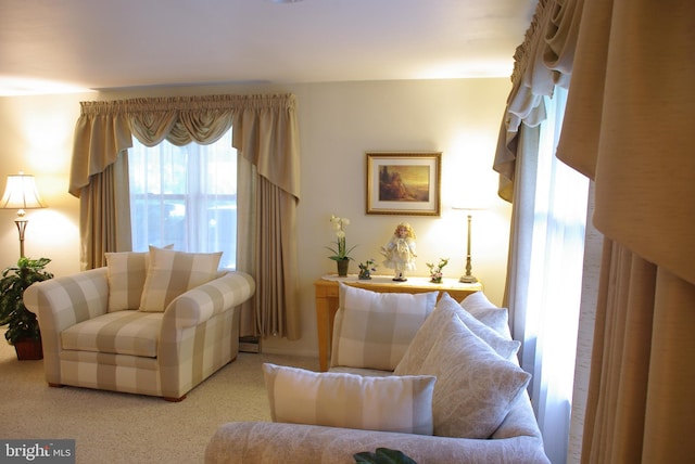 13920 Heavenly Acres Rdg, Hancock, MD 21750 - view of carpeted living room