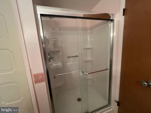 13920 Heavenly Acres Rdg, Hancock, MD 21750 - full bath featuring a shower stall