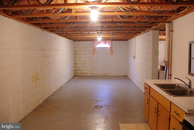 13920 Heavenly Acres Rdg, Hancock, MD 21750 - basement featuring a sink and concrete block wall