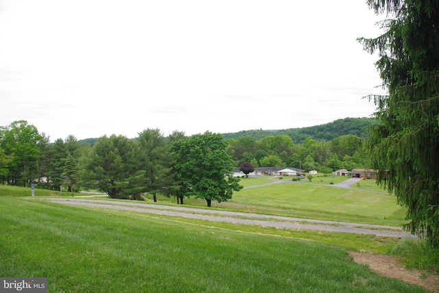 13920 Heavenly Acres Rdg, Hancock, MD 21750 - surrounding community with a lawn