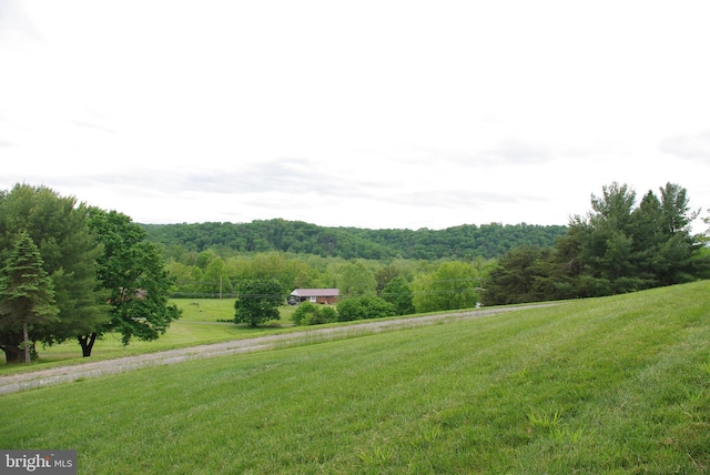 13920 Heavenly Acres Rdg, Hancock, MD 21750 - view of grassy yard featuring a view of countryside and a wooded view