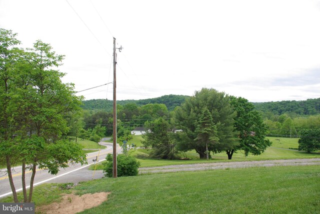 13920 Heavenly Acres Rdg, Hancock, MD 21750 - surrounding community with a view of trees and a lawn