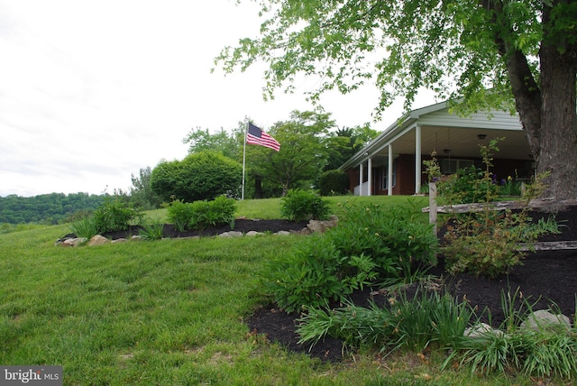 13920 Heavenly Acres Rdg, Hancock, MD 21750 - view of green lawn