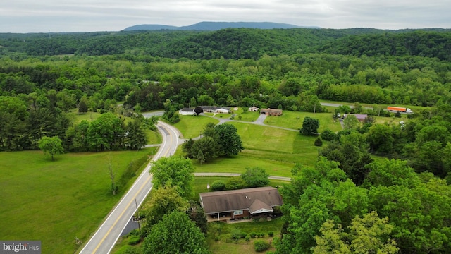 13920 Heavenly Acres Rdg, Hancock, MD 21750 - drone / aerial view of a forest