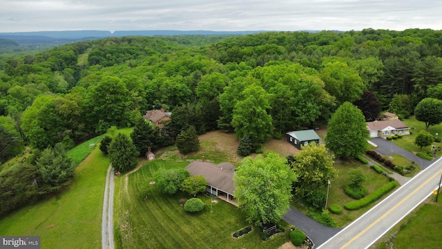 13920 Heavenly Acres Rdg, Hancock, MD 21750 - bird's eye view of a forest