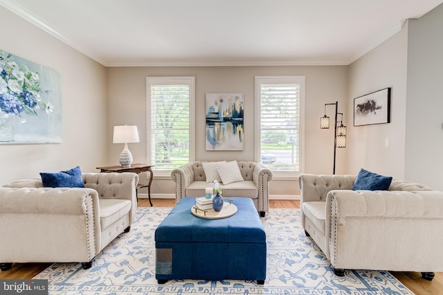 20932 Cox Mills Ct, Ashburn, VA 20147 - living room with crown molding, light wood-style flooring, and healthy amount of natural light