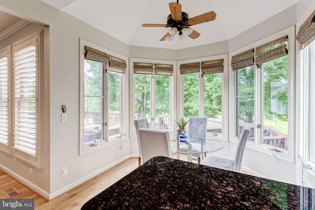 20932 Cox Mills Ct, Ashburn, VA 20147 - bedroom featuring multiple windows, light wood-style floors, and a ceiling fan