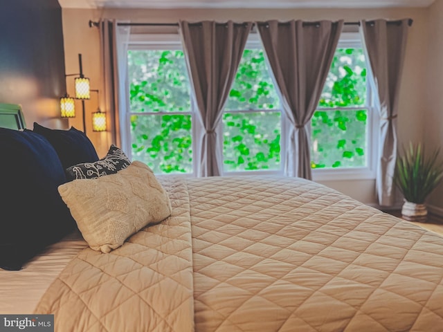 20932 Cox Mills Ct, Ashburn, VA 20147 - view of bedroom