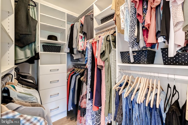 20932 Cox Mills Ct, Ashburn, VA 20147 - walk in closet featuring wood finished floors