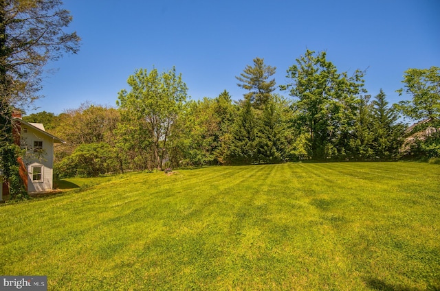 view of grassy yard with a view of trees