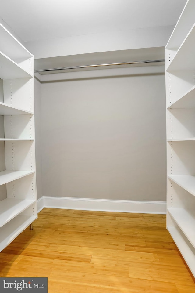 1716 M St NE, Washington, DC 20002 - spacious closet featuring light wood-style floors