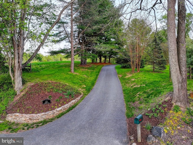 view of road
