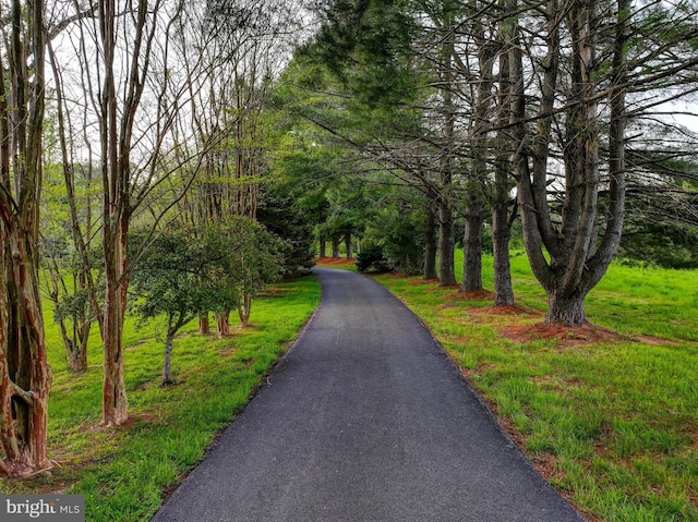 view of community with a wooded view