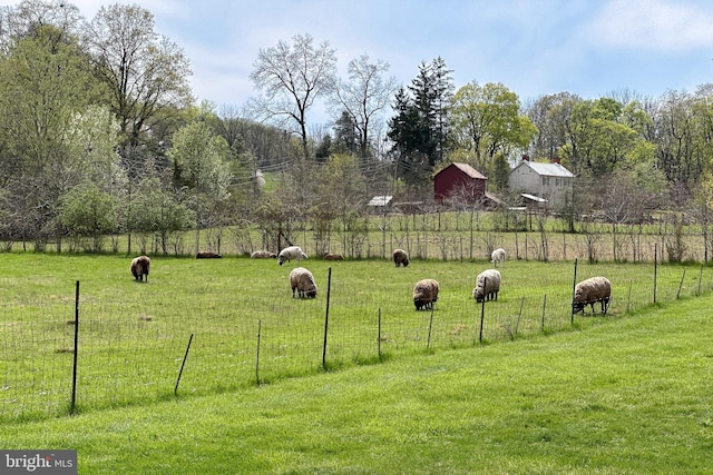 348 Rosemont Ringoes Rd, Stockton, NJ 08559 - view of yard with a view of countryside