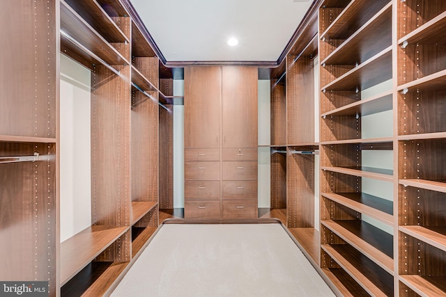view of spacious closet