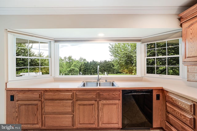 kitchen featuring dishwasher, a sink, light countertops, healthy amount of natural light, and ornamental molding