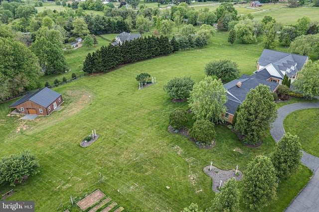 bird's eye view