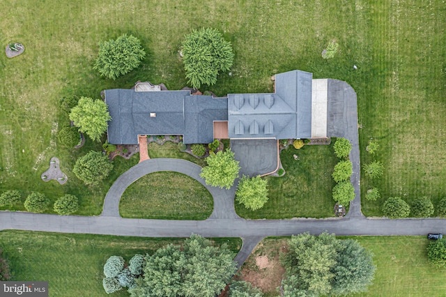 bird's eye view