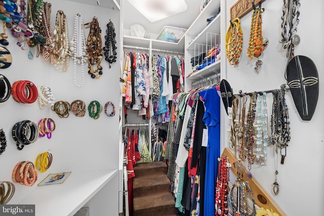 5942 Kimberly Anne Way, Alexandria, VA 22310 - view of spacious closet