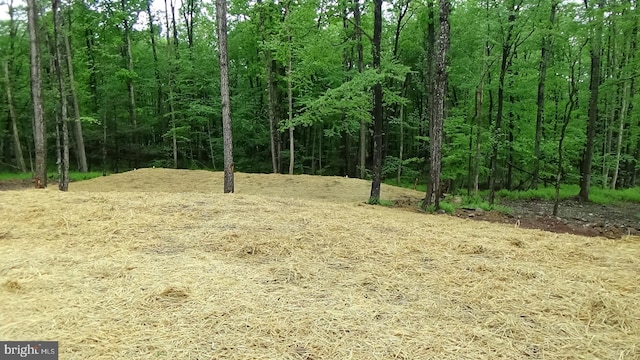 54 Hickory Ridge Rd, Newport, PA 17074 - view of undeveloped land