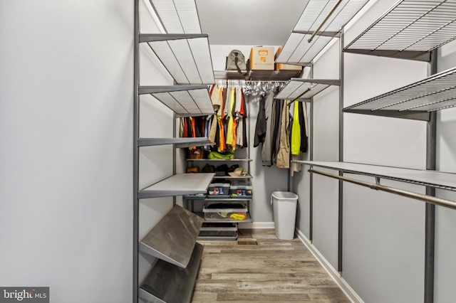 spacious closet featuring wood finished floors