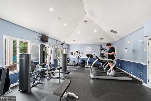 46245 Milthorn Ter, Sterling, VA 20165 - gym featuring vaulted ceiling, healthy amount of natural light, and baseboards