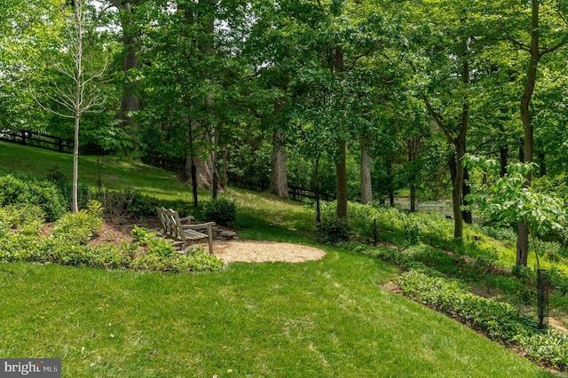 13312 Drews Ln, Potomac, MD 20854 - view of grassy yard