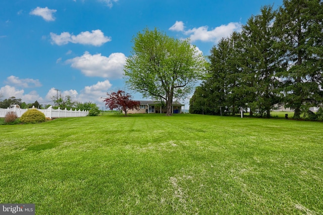630 E Canal Rd, York, PA 17404 - view of yard