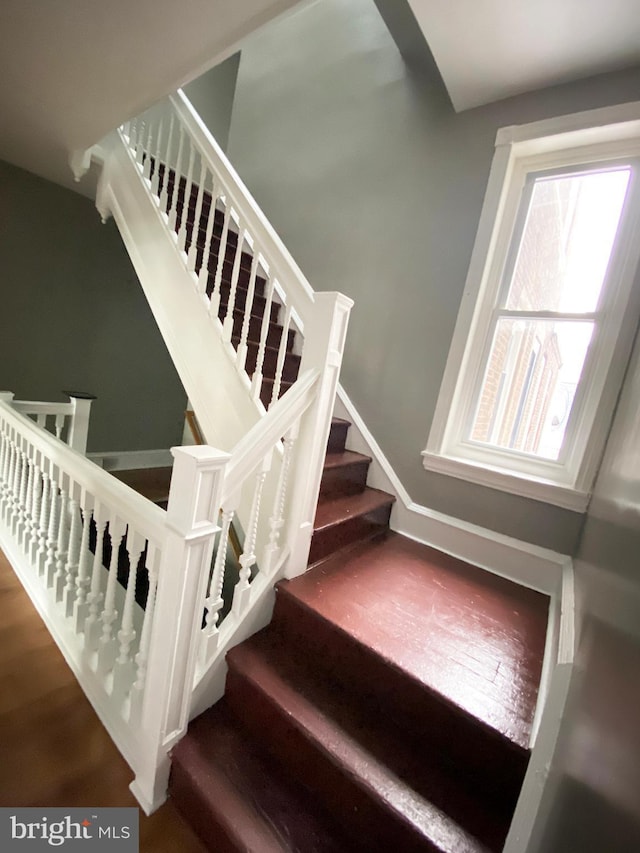 stairway featuring wood finished floors