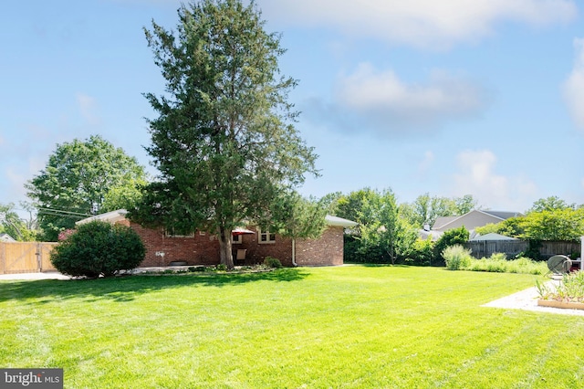 view of yard