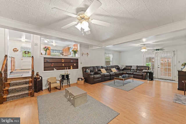 1517 Margaret St, Woodbridge, VA 22191 - living room featuring a ceiling fan, wood finished floors, and ornamental molding
