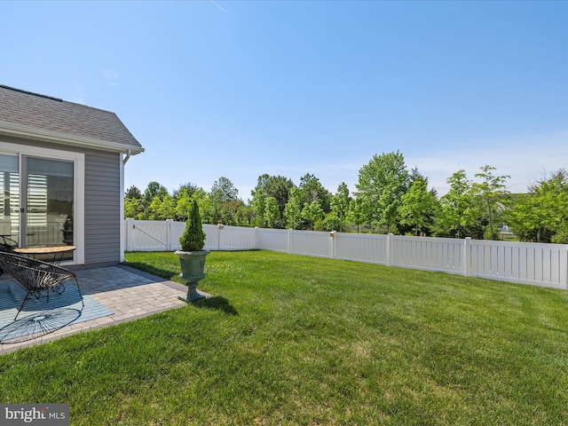 view of yard featuring a patio