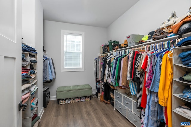 spacious closet featuring wood finished floors