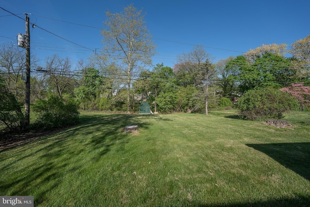 view of green lawn
