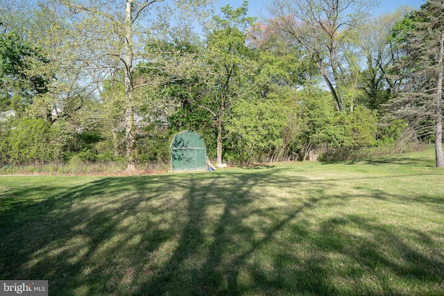 view of green lawn featuring a storage unit, an outbuilding, and a view of trees