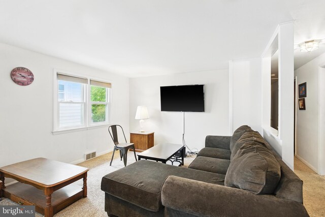 23 N Line Rd, Newtown Square, PA 19073 - living room featuring light colored carpet and baseboards