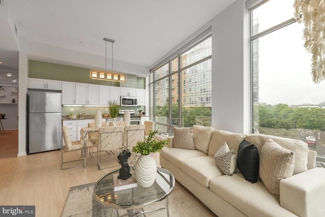1414 Belmont St NW Unit 207, Washington, DC 20009 - living area featuring light wood-style floors