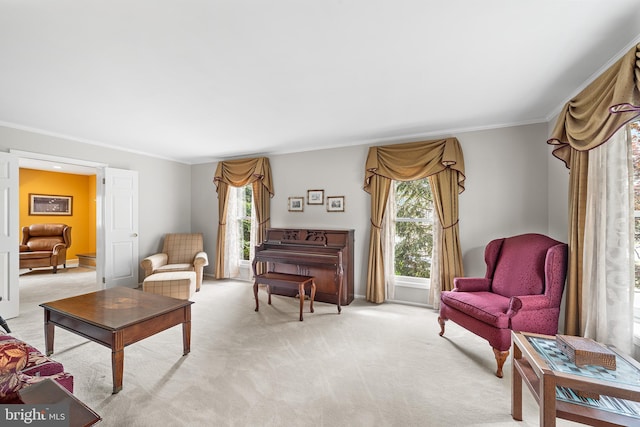 living area with ornamental molding, healthy amount of natural light, and light colored carpet