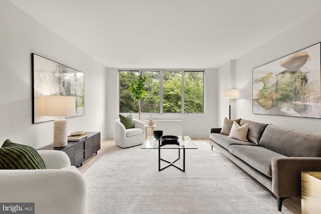 living room with light wood finished floors