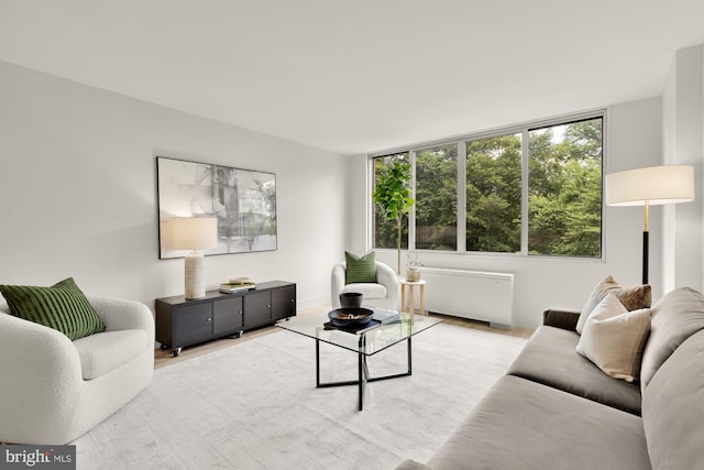 living area featuring wood finished floors and radiator