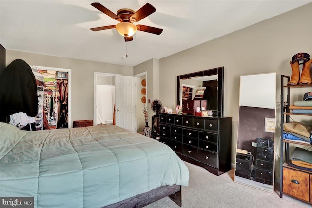bedroom with carpet flooring, ceiling fan, a walk in closet, and a closet
