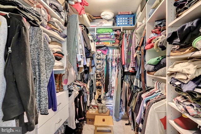 view of walk in closet