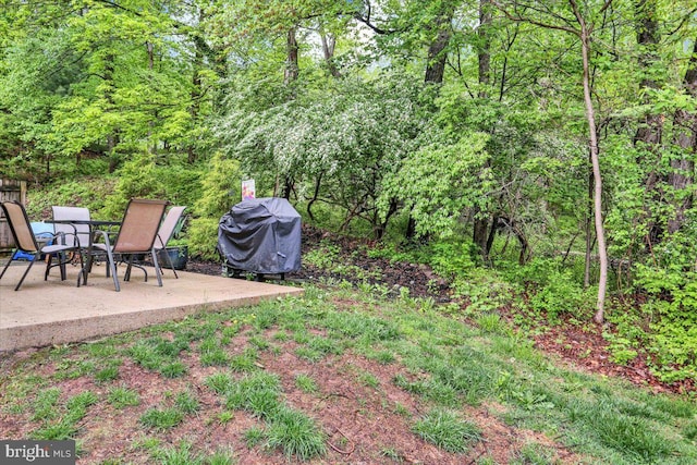 view of yard featuring a patio and a forest view