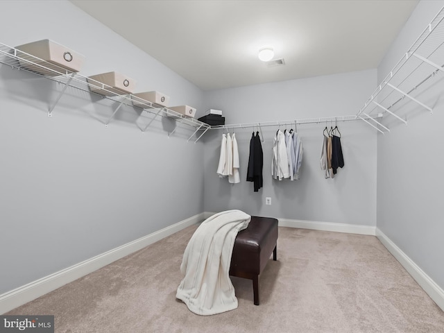 8484 Oak Run Way, Ellicott City, MD 21043 - walk in closet featuring carpet flooring