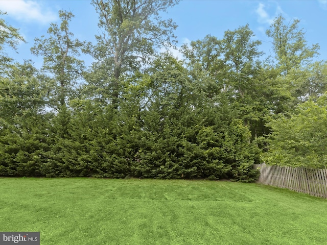 8484 Oak Run Way, Ellicott City, MD 21043 - view of yard