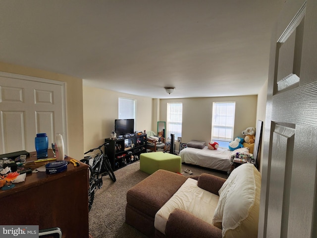view of carpeted bedroom