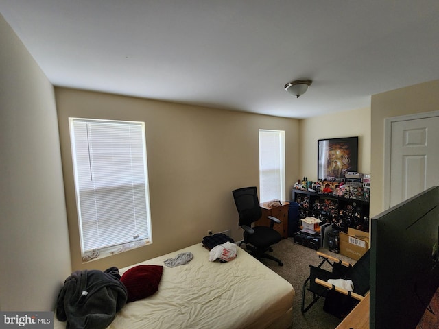 bedroom with carpet floors