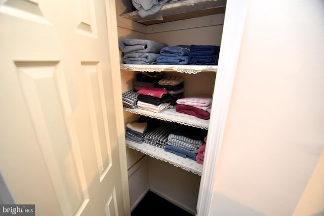 view of closet